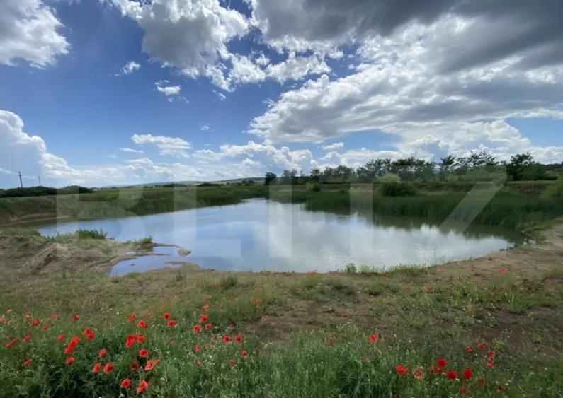 Teren extravilan 10000 mp, cu balta de peste, Salaj, Sarmasa - 7