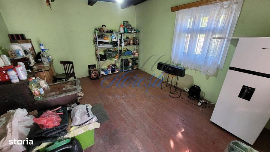 Teren intavilan, 4800 mp, front la strada, utilitati, Rasca - 10