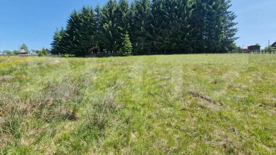 Teren extravilan, 5800 mp, Marisel - 3