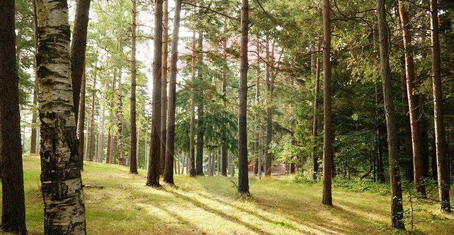 DE VANZARE Pensiune | 12 camere | Bisoca / Buzau - 7