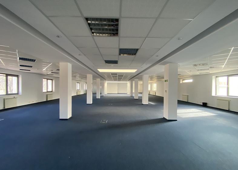 Viilor 14 - comision 0%, reprezentam proprietarul! - 12