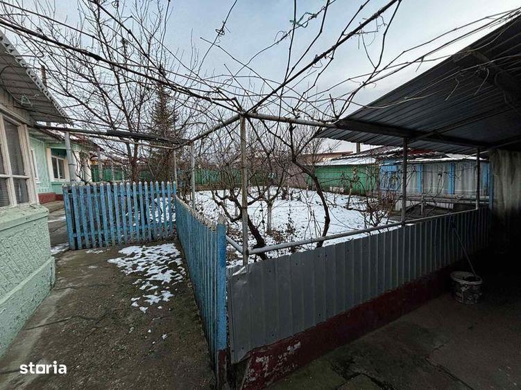 Casa batraneasca + teren Odaia Manolache - 5