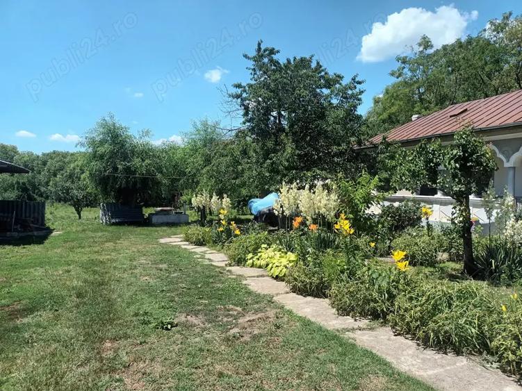 Casa Crevedia Mare Giurgiu - 1