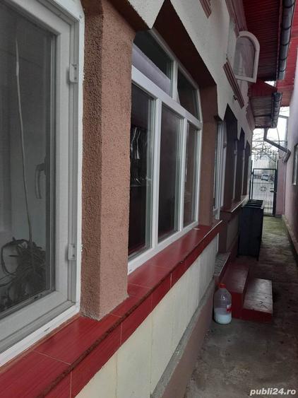 Casa cu 16 incaperi+pivnita +crama,curte,gradina, livada si vita de vie, in suprafata de 5800 m.p. - 8