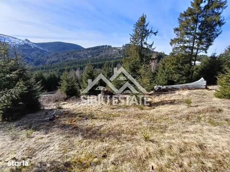 Teren de vanzare in zona montana a judetului Alba - 6