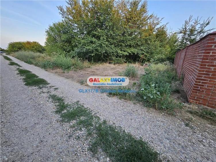 Buftea Flamanzeni 843 mp Str Independentei - 10