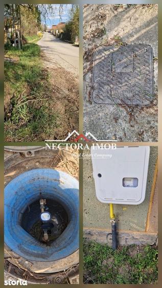 NECTORA IMOB-Casa 70 mp cu teren 951 mp, front 16 mp, Paleu Centru - 3