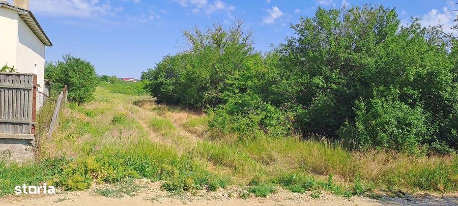 TEREN INTRAVILAN DE VANZARE - 3