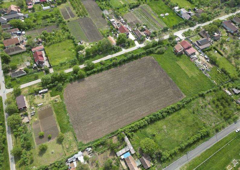 Teren Intravilan de 3,090 mp in Cuvin - 19