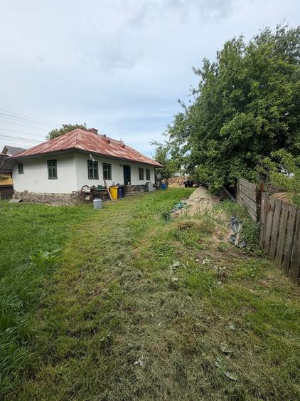 Spațiu comercial, în Șerbăuți