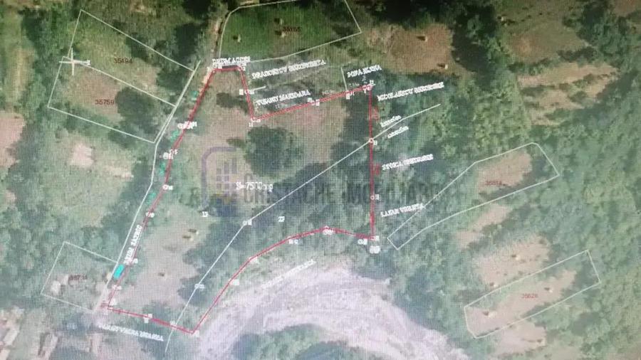 Teren in Comuna Muereasca_suprafata 7489 mp_mixt_situat la 170 m de Primarie - 5