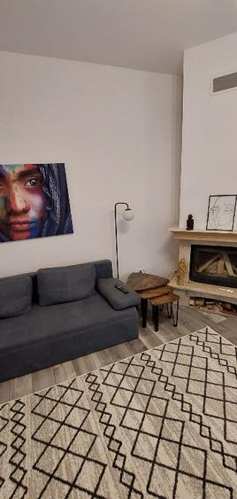 Casa singur curte langa parcul Herastrau - 10