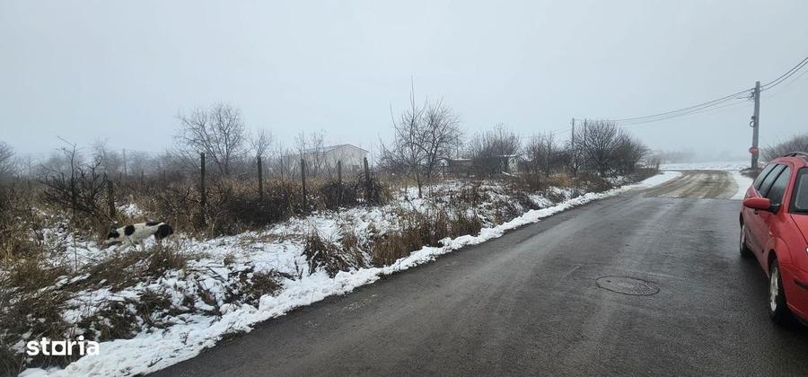 Exclusivitate MAG Invest Teren 2300 mp Vanatori, ideal investitie - 7