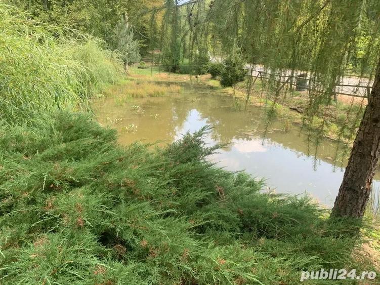 Vind casa de vacanta cu trei casute si pescarie - 5