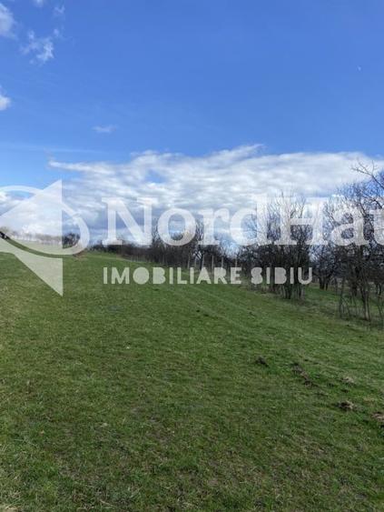 Teren Extravilan Rasinari 3500 mp - Zona deosebita - 1