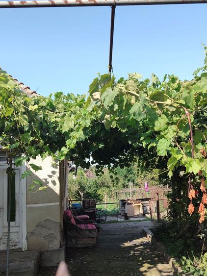 Casa de vanzare cu 2 camere - 3