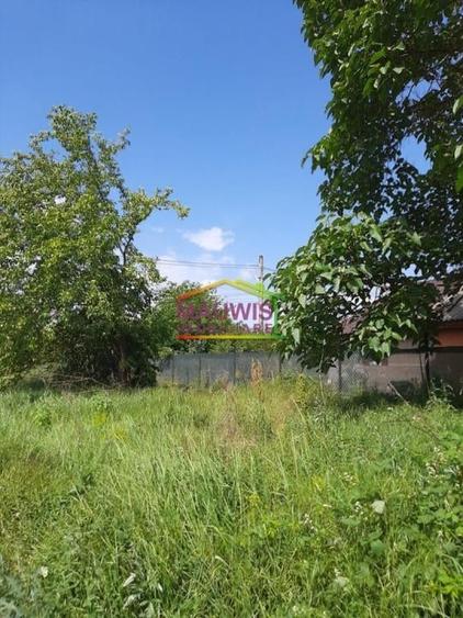 Snagov-Ghermanesti-Teren 2000 mp la sosea - 55 euro/mp - 3