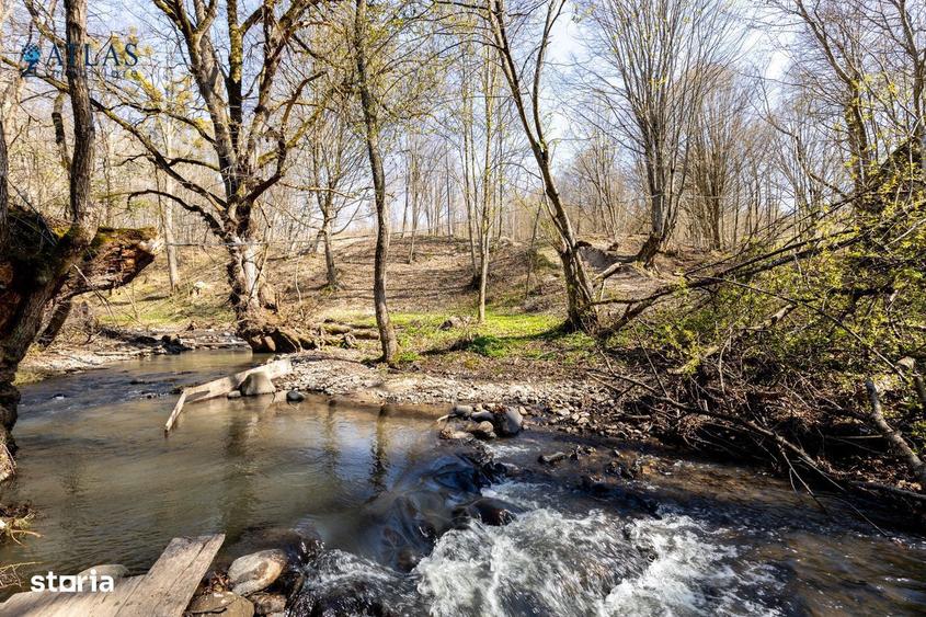 Vile turistice, locatie montana, la marginea paraului, 2600 mp teren - 16