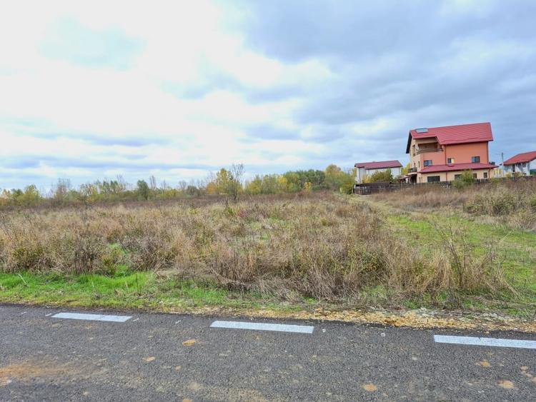 Terenuri de constructie in Domnesti cu toate utilitatile disponibile - 4