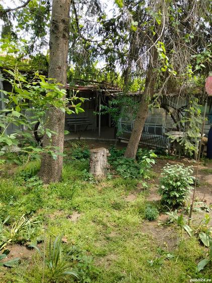 Casa la Glodeanu Silistea Buzau - 10