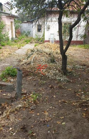 Bucuresti Noi, Parcul Bazilescu vanzare teren - 2