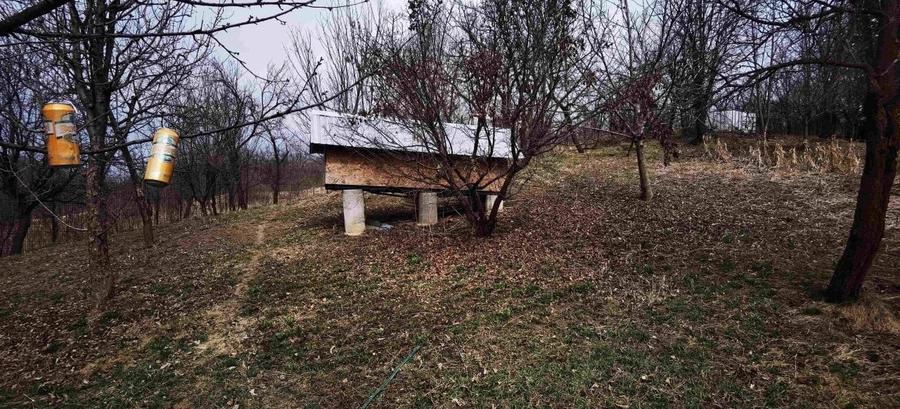 Super proprietate langa Breaza  cu teren  5000Mp , structura solida , cazemata - 7