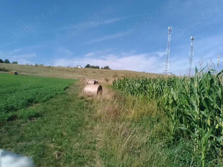 Chinteni 40 euro mp - 4