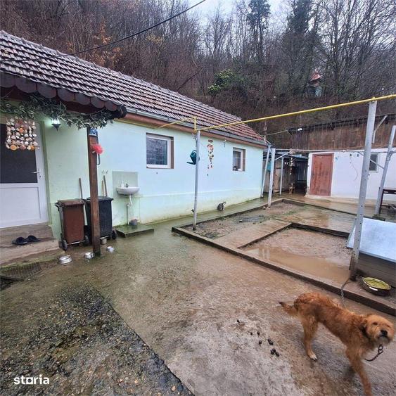 BOCSA Montana, Casa Cocheta cu curte . - 11