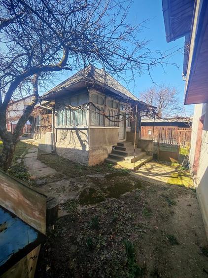 Casa de vanzare dragomiresti - 5