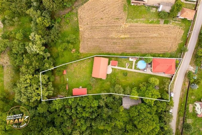 FILM&3D! Doua case cu:piscina,foisor,arbori decorativi,1.700mp teren,Lutoasa,Cov - 23