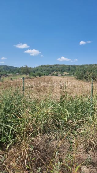 Teren 5236mp, Mihaesti