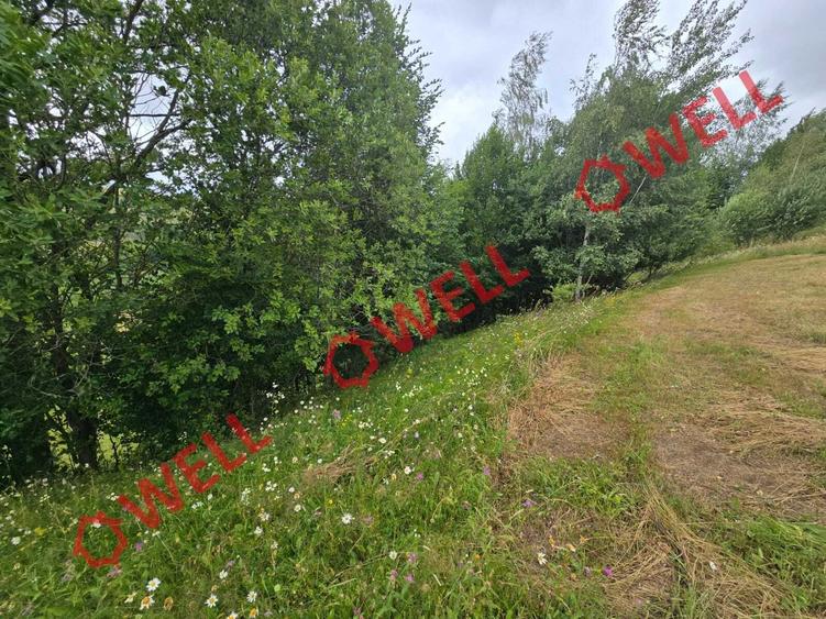 De vânzare teren extravilan loc. Sărămaș! - 5