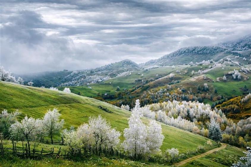 Vila in magistral peisagistic, mobilata, echipata, Moieciu, Pestera, Brasov - 3