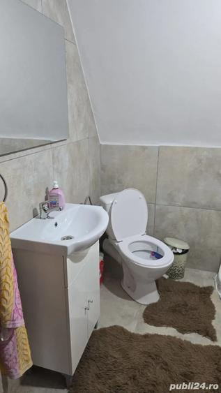 Vand cabana la munte - 5