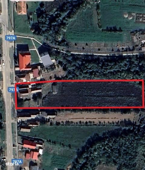 TEREN INTRAVILAN CU UTILITATI -6060 MP | SAT BICACI | BIHOR - 2