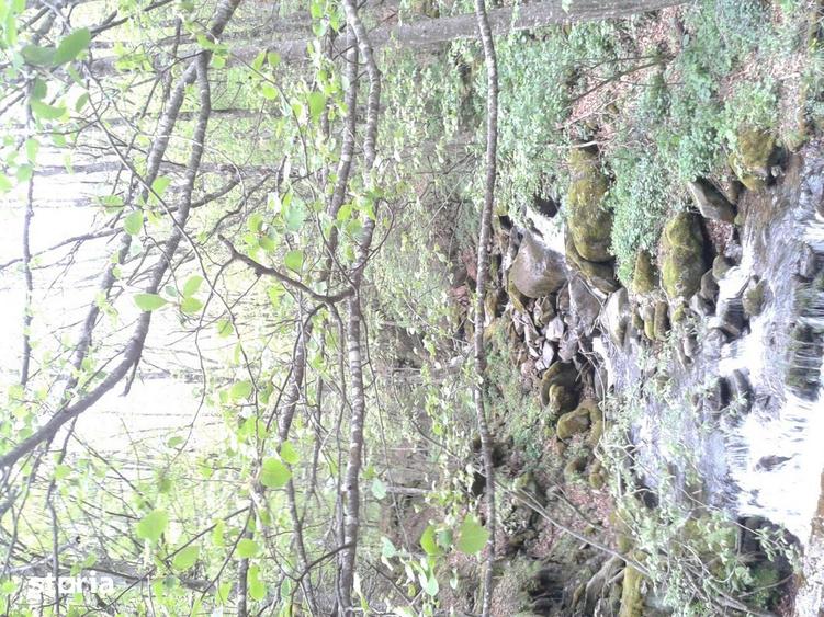 Teren de 5700 mp, în Râu de Mori
