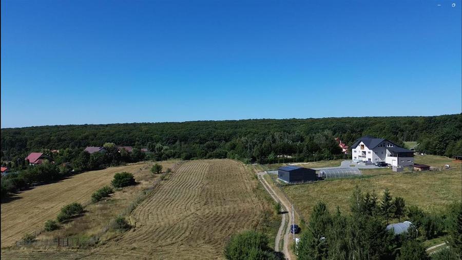 Teren Construcții intravilan de 6200 mp, în Mitocu Dragomirnei