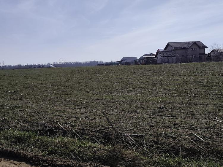 FARA COMISIOANE in Sabareni teren in suprafata de 23200mp gaze curent la teren - 4