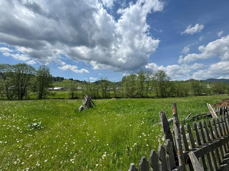 Vând proprietate 3,5 ha în Breaza de Sus, jud. Suceava, pe malul râului Moldova - 8