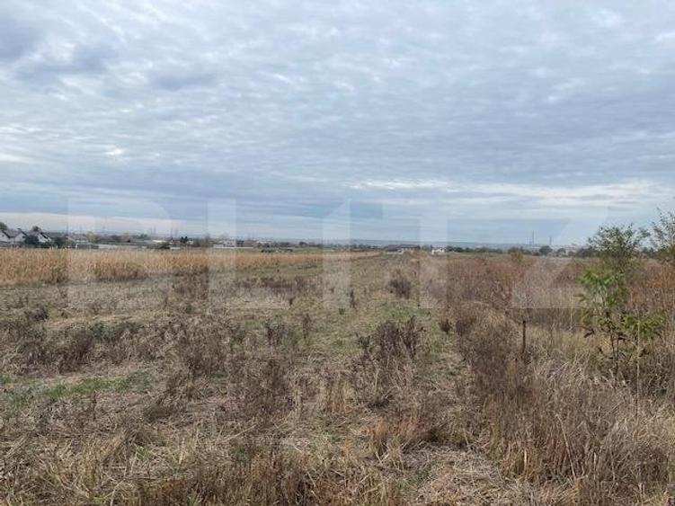Teren extravilan de 2539 mp in Dudovicesti - 3