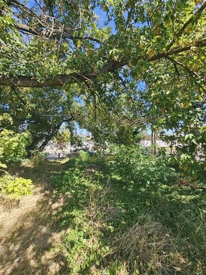 TEREN INTRAVILAN DE VANZARE ONESTI - 1