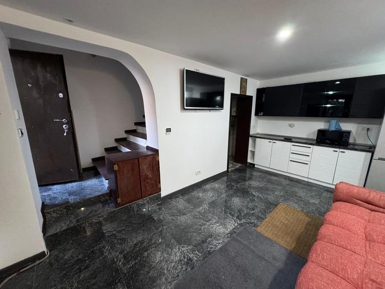 Inchiriere casa P+1 pet friendly curte comuna Cotroceni Medicina - 16