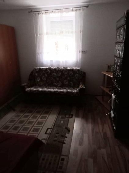 Vand casa Zimandu Nou - 2