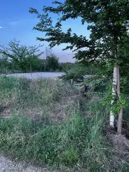 Teren de 2300 mp, în Ciolpani
