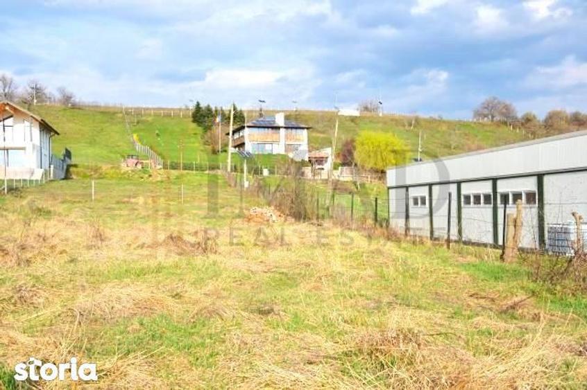 Vanzare Teren Intravilan 800mp, CC, Aleea Manastirii - Targoviste exte - 4