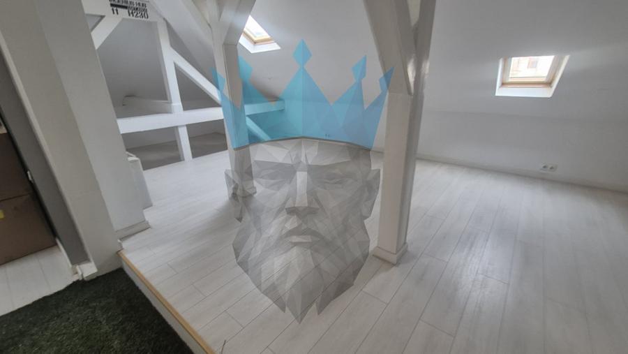 Spatiu Birou Calea Victoriei Centrul Vechi - 3