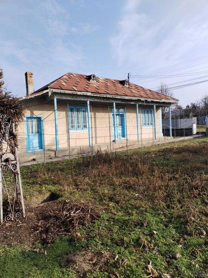 Casa in localitatea Jijila - 7