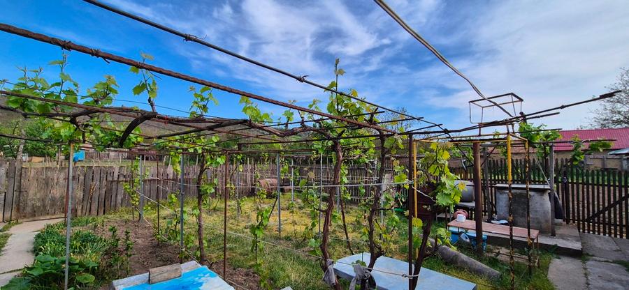 Vând 2 corpuri casa si teren 2000 mp - 6