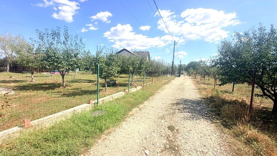 Teren Construcții intravilan de 982 mp, în Turcinești
