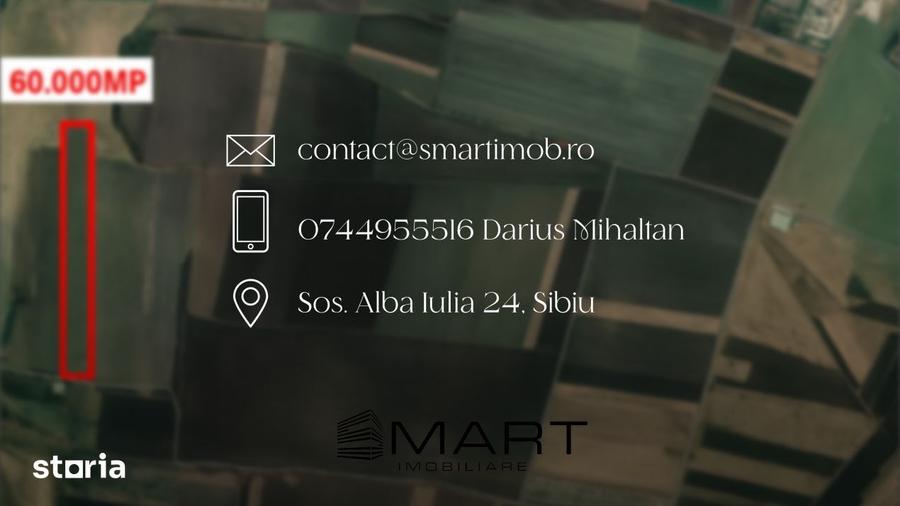 Teren de 60000 mp, în Șura Mică